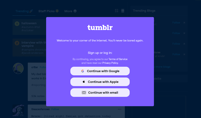 Tumblr - Most Used Social Bookmarking Site