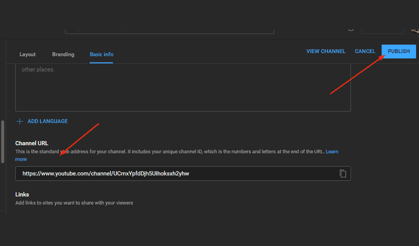 Change Update The Custom Channel URL